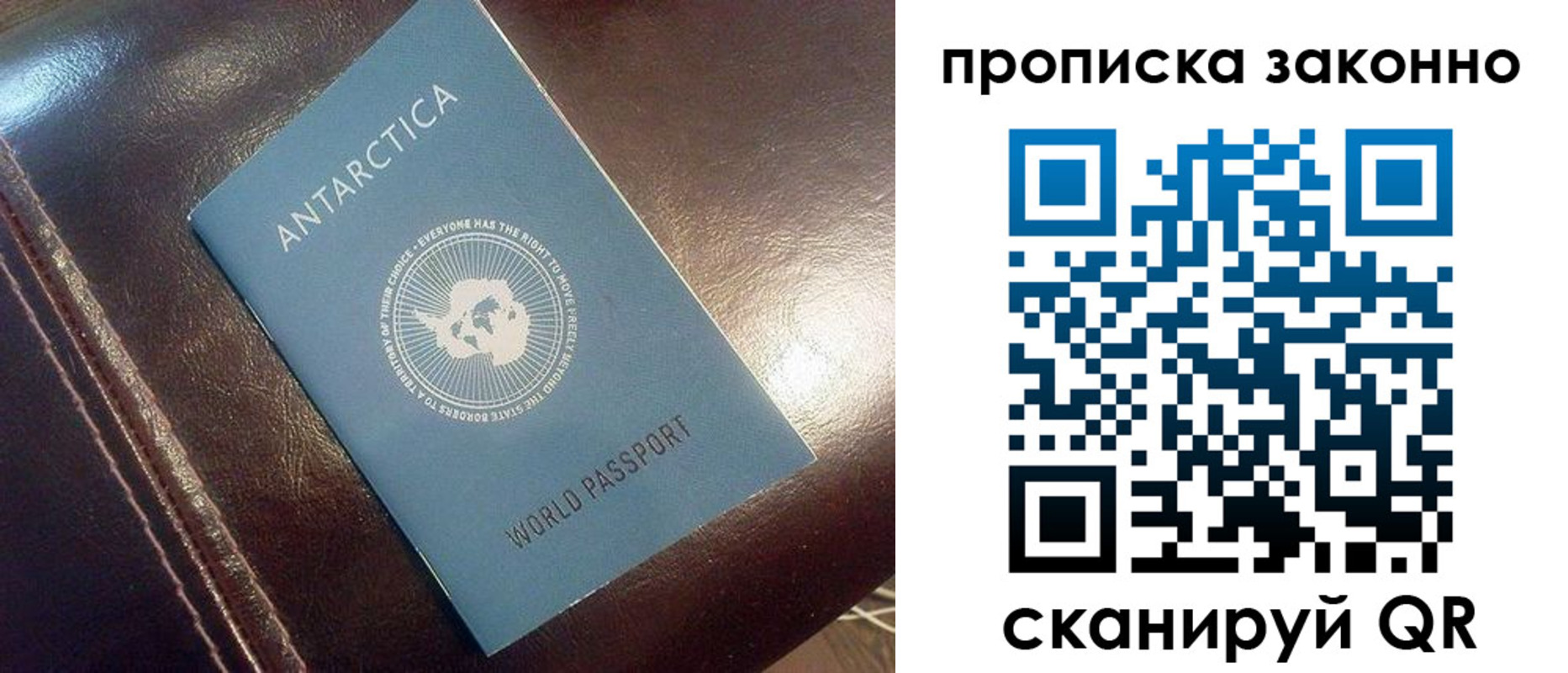 прописка в квартире в Димитровграде