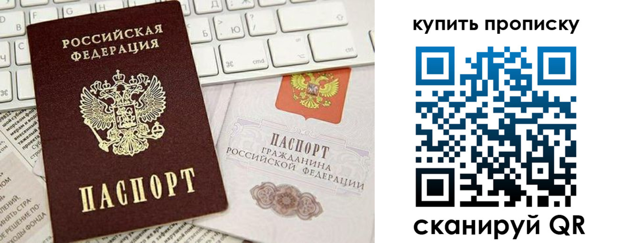 прописка гарантия в Димитровграде