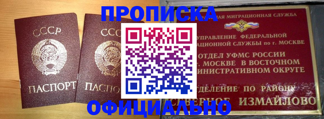 купить прописку в Димитровграде